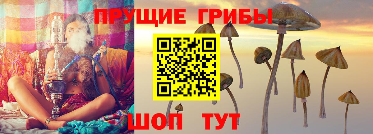 Сургут  Псилоцибиновые грибы MAGIC MUSHROOMS  Вход с VPN  где купить наркоту  Галлюциногенные грибы Cubensis 